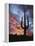 Arizona, Organ Pipe Cactus National Monument, Saguaro Cacti at Sunset-Christopher Talbot Frank-Framed Premier Image Canvas