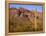Arizona, Organ Pipe Cactus National Monument-John Barger-Framed Premier Image Canvas