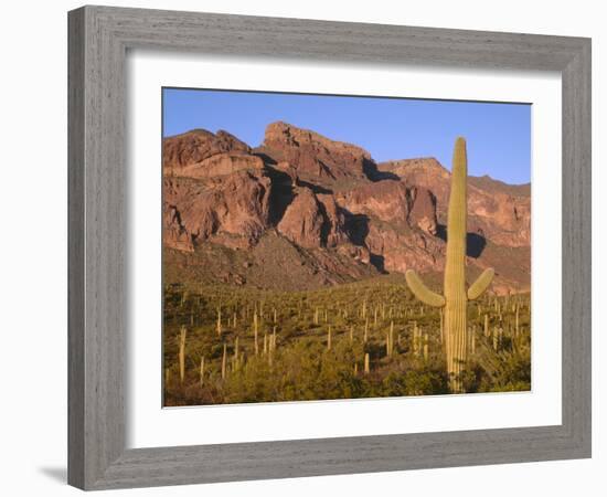 Arizona, Organ Pipe Cactus National Monument-John Barger-Framed Photographic Print