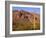 Arizona, Organ Pipe Cactus National Monument-John Barger-Framed Photographic Print