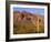 Arizona, Organ Pipe Cactus National Monument-John Barger-Framed Photographic Print