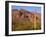 Arizona, Organ Pipe Cactus National Monument-John Barger-Framed Photographic Print