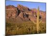 Arizona, Organ Pipe Cactus National Monument-John Barger-Mounted Photographic Print