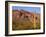 Arizona, Organ Pipe Cactus National Monument-John Barger-Framed Photographic Print