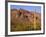 Arizona, Organ Pipe Cactus National Monument-John Barger-Framed Photographic Print