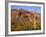 Arizona, Organ Pipe Cactus National Monument-John Barger-Framed Photographic Print