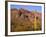 Arizona, Organ Pipe Cactus National Monument-John Barger-Framed Photographic Print