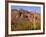 Arizona, Organ Pipe Cactus National Monument-John Barger-Framed Photographic Print