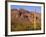 Arizona, Organ Pipe Cactus National Monument-John Barger-Framed Photographic Print