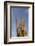 Arizona, Organ Pipe Cactus Nm. Saguaro Cactus in Front of a Blue Sky-Kevin Oke-Framed Photographic Print