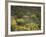 Arizona, Organ Pipe Cactus NM, Wildflowers in the Ajo Mountains-Christopher Talbot Frank-Framed Photographic Print