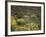 Arizona, Organ Pipe Cactus NM, Wildflowers in the Ajo Mountains-Christopher Talbot Frank-Framed Photographic Print