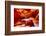 Arizona, Page, Upper Antelope Slot Canyon-Jaynes Gallery-Framed Photographic Print