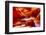 Arizona, Page, Upper Antelope Slot Canyon-Jaynes Gallery-Framed Photographic Print