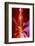 Arizona, Page, Upper Antelope Slot Canyon-Jaynes Gallery-Framed Photographic Print