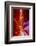 Arizona, Page, Upper Antelope Slot Canyon-Jaynes Gallery-Framed Photographic Print