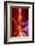 Arizona, Page, Upper Antelope Slot Canyon-Jaynes Gallery-Framed Photographic Print