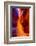 Arizona, Page, Upper Antelope Slot Canyon-Jaynes Gallery-Framed Photographic Print