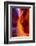 Arizona, Page, Upper Antelope Slot Canyon-Jaynes Gallery-Framed Photographic Print