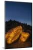 Arizona, Painted Rock Petroglyph Site. Rocks Covered with Petroglyphs-Cathy & Gordon Illg-Mounted Photographic Print