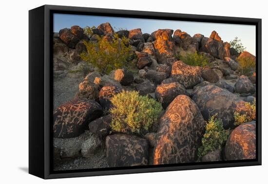 Arizona, Painted Rock Petroglyph Site. Rocks Covered with Petroglyphs-Cathy & Gordon Illg-Framed Premier Image Canvas