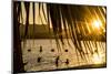 Arizona, Rte 66 Expedition, Cattail Cove State Park on Lake Havasu at Sunset-Alison Jones-Mounted Photographic Print