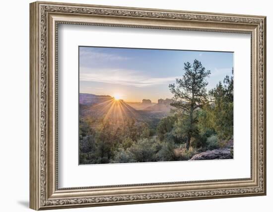 Arizona, Sedona. Cathedral Rock at sunrise-Rob Tilley-Framed Photographic Print