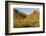 Arizona, Sonoran Desert. Saguaro Cactus and Blooming Palo Verde Trees-Cathy & Gordon Illg-Framed Photographic Print