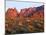 Arizona, Sunset Light on Brittlebush, Phacelia-John Barger-Mounted Photographic Print