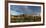 Arizona. Sunset over Desert Habitat, Organ Pipe Cactus National Monument-Judith Zimmerman-Framed Premium Photographic Print