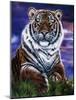 Arizona Tiger-Jenny Newland-Mounted Giclee Print
