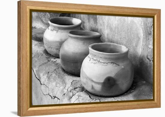 Arizona, Tumacacori National Historic Park, Morning in the Park-Peter Hawkins-Framed Premier Image Canvas