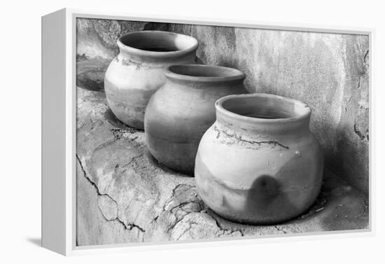 Arizona, Tumacacori National Historic Park, Morning in the Park-Peter Hawkins-Framed Premier Image Canvas