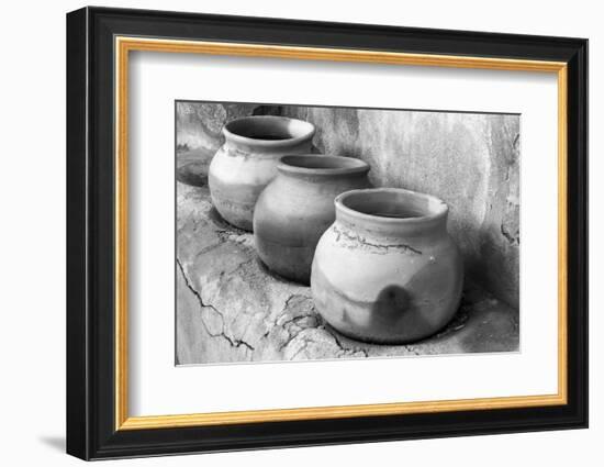 Arizona, Tumacacori National Historic Park, Morning in the Park-Peter Hawkins-Framed Photographic Print