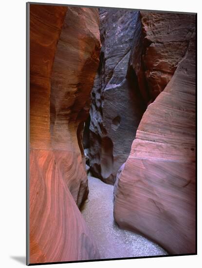 Arizona-Utah Border, Vermilion Cliffs National Monument-John Barger-Mounted Photographic Print