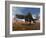 Arizonasaurus Dinosaur in the Desert with Pachypteris Trees-Stocktrek Images-Framed Art Print