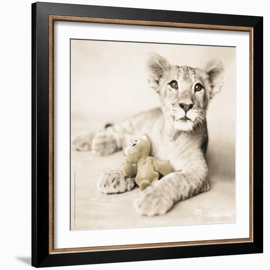 Arjuna and Teddy-Rachael Hale-Framed Art Print