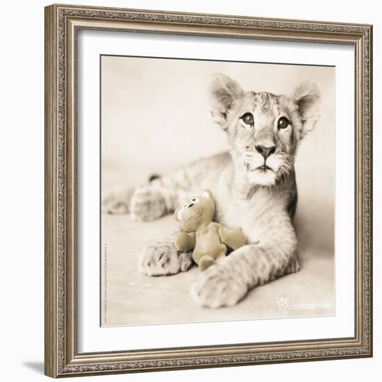 Arjuna and Teddy-Rachael Hale-Framed Photographic Print