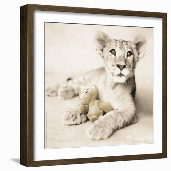 Arjuna and Teddy-Rachael Hale-Framed Photographic Print