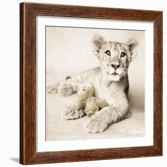 Arjuna and Teddy-Rachael Hale-Framed Photographic Print