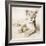 Arjuna and Teddy-Rachael Hale-Framed Photographic Print