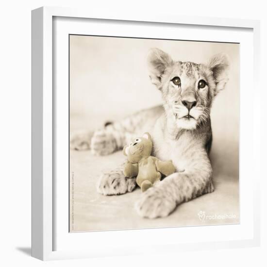 Arjuna and Teddy-Rachael Hale-Framed Photographic Print