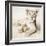 Arjuna and Teddy-Rachael Hale-Framed Photographic Print