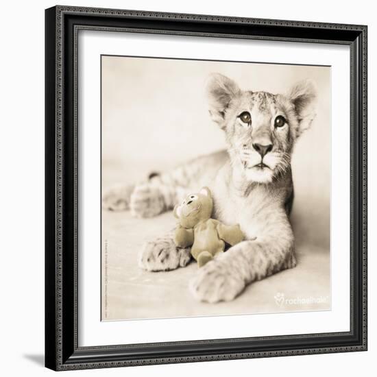 Arjuna and Teddy-Rachael Hale-Framed Photographic Print