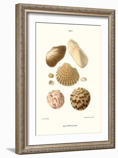 Ark Shells-John Mawe-Framed Art Print