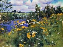 Field Tansies, 1922-Arkadi Alexandrovich Rylov-Giclee Print