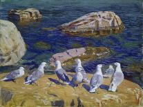 Seagulls, 1910-Arkadi Rylow-Premier Image Canvas