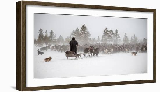 Arkadij Drives a Herd of Reindeer-Marcel Rebro-Framed Photographic Print