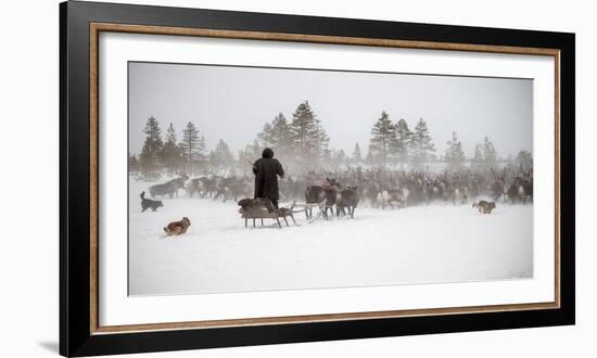 Arkadij Drives a Herd of Reindeer-Marcel Rebro-Framed Photographic Print