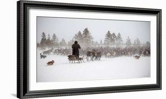 Arkadij Drives a Herd of Reindeer-Marcel Rebro-Framed Photographic Print